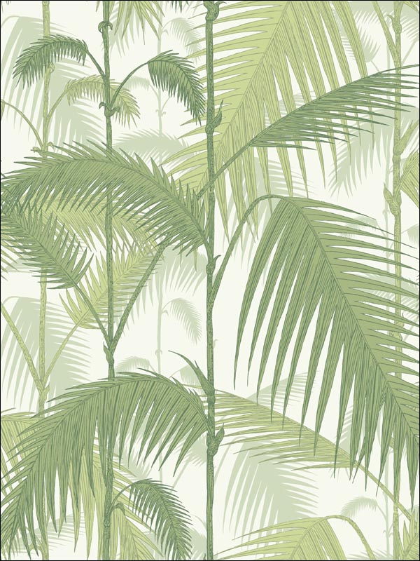 Palm Jungle Olive Green White Wallpaper 951001 by Cole and Son Wallpaper for sale at Wallpapers To Go