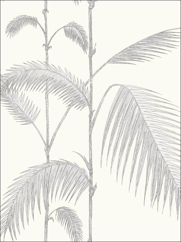 Palm Grey Ivory Wallpaper 951008 by Cole and Son Wallpaper