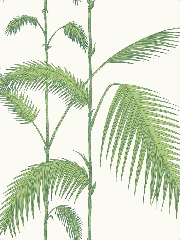 Palm Green White Wallpaper 951009 by Cole and Son Wallpaper for sale at Wallpapers To Go