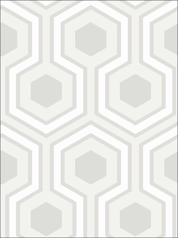 Hicks Grand Dove Grey Wallpaper 956036 by Cole and Son Wallpaper for sale at Wallpapers To Go