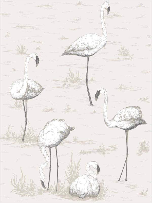 Flamingos Charcoal White Wallpaper 958046 by Cole and Son Wallpaper for sale at Wallpapers To Go