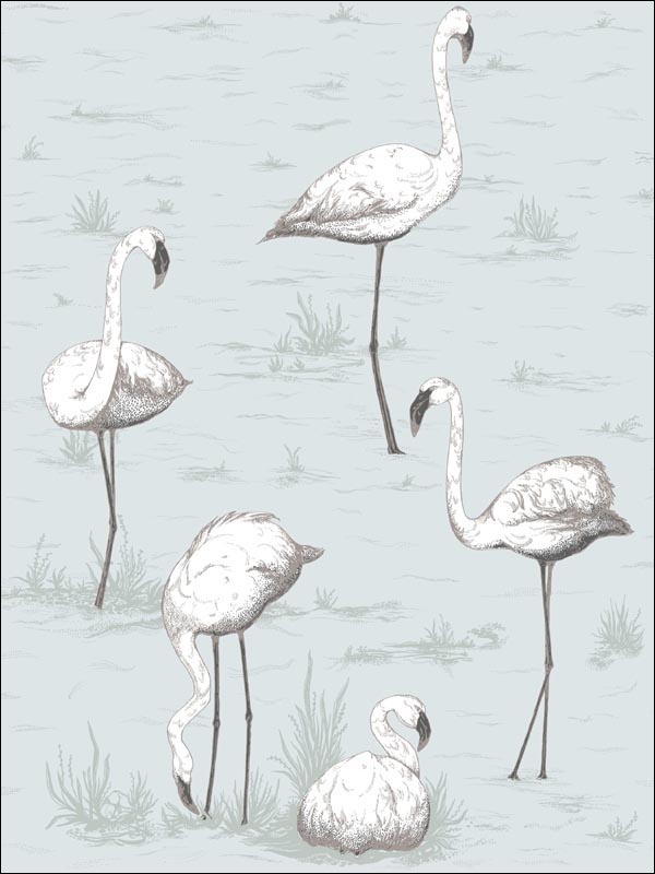 Flamingos Charcoal Aqua Wallpaper 958047 by Cole and Son Wallpaper for sale at Wallpapers To Go