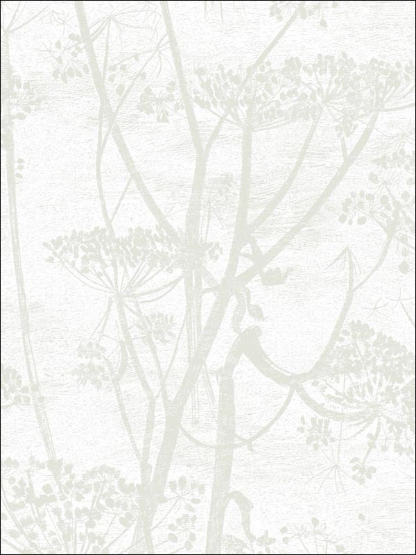 Cow Parsley Wallpaper by Cole & Son - Price Per Roll | Chairish