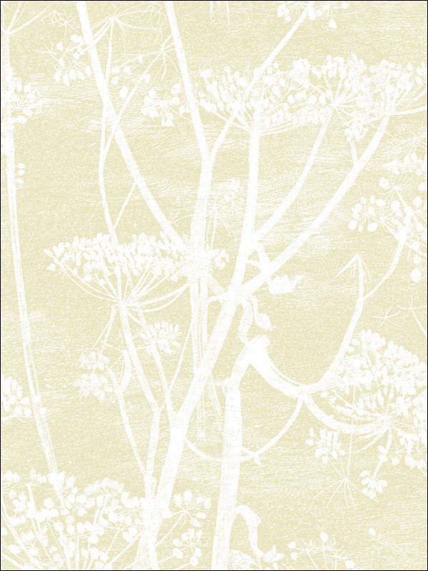 Cow Parsley Straw White Wallpaper 959053 by Cole and Son Wallpaper for sale at Wallpapers To Go