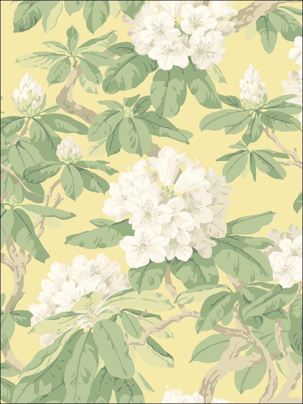 Bourlie Pale Lemon Wallpaper 994021 by Cole and Son Wallpaper for sale at Wallpapers To Go
