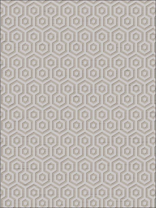 Hexagons Wallpaper SD60106 by Pelican Prints Wallpaper for sale at Wallpapers To Go