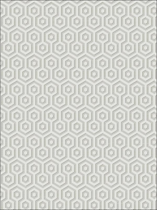 Hexagons Wallpaper SD60108 by Pelican Prints Wallpaper for sale at Wallpapers To Go