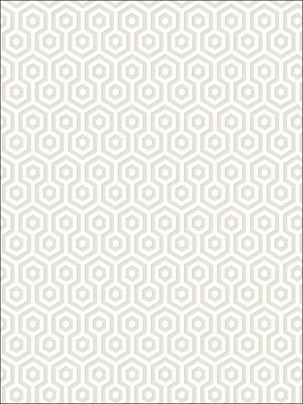 Hexagons Wallpaper SD60110 by Pelican Prints Wallpaper for sale at Wallpapers To Go