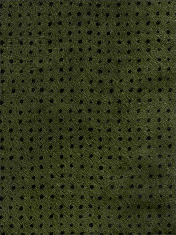 Dame Olive Ebony Upholstery Fabric GWL340138 by Groundworks Fabrics for sale at Wallpapers To Go