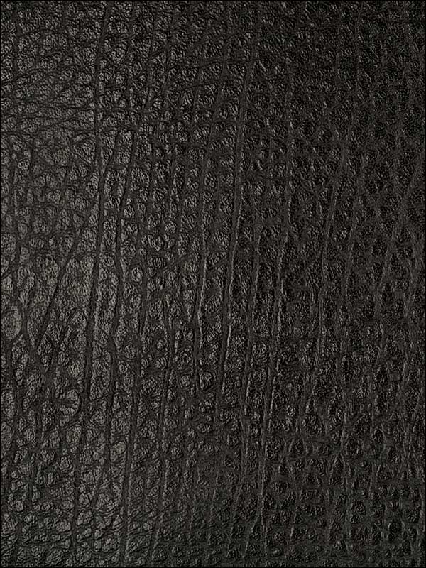Femme Fatale Black Upholstery Fabric GWL34088 by Groundworks Fabrics for sale at Wallpapers To Go