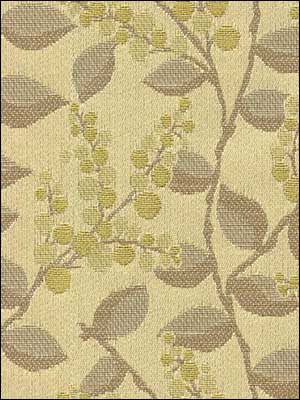 Vine Drive Lemongrass Upholstery Fabric 31527416 by Kravet Fabrics for sale at Wallpapers To Go