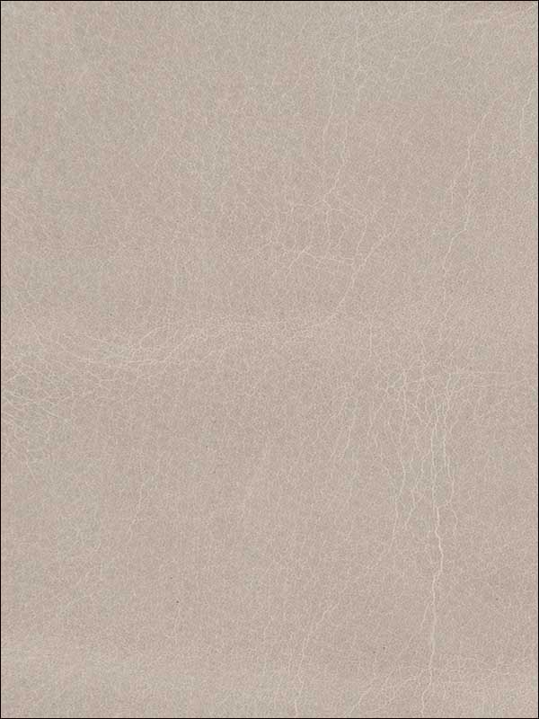 L Baden Cement Upholstery Fabric LBADENCEMENT by Kravet Fabrics for sale at Wallpapers To Go