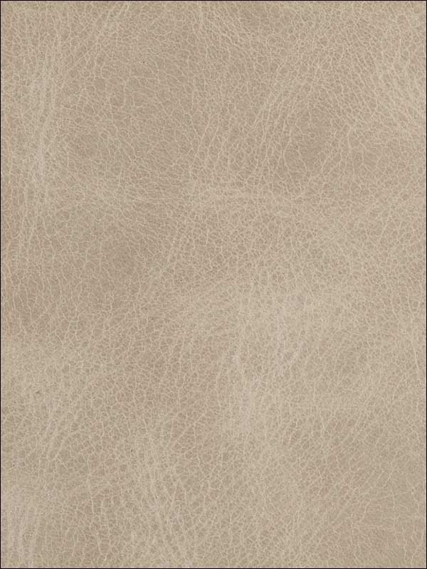 Bern Flax Upholstery Fabric LBERNFLAX by Kravet Fabrics for sale at Wallpapers To Go