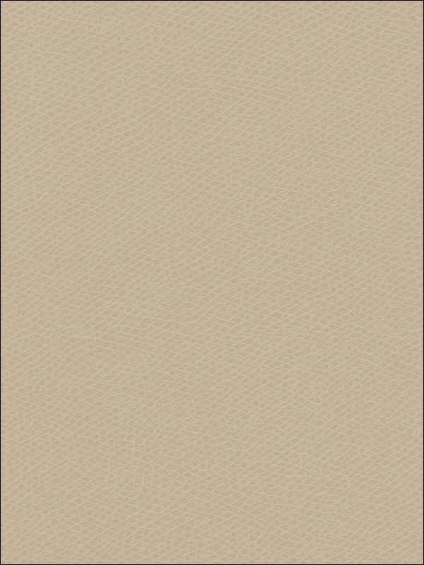 Ophidian Oatmeal Upholstery Fabric OPHIDIAN101 by Kravet Fabrics for sale at Wallpapers To Go