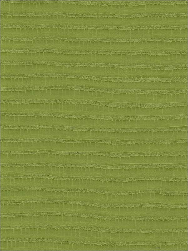 Reva Lime Upholstery Fabric REVA3 by Kravet Fabrics for sale at Wallpapers To Go