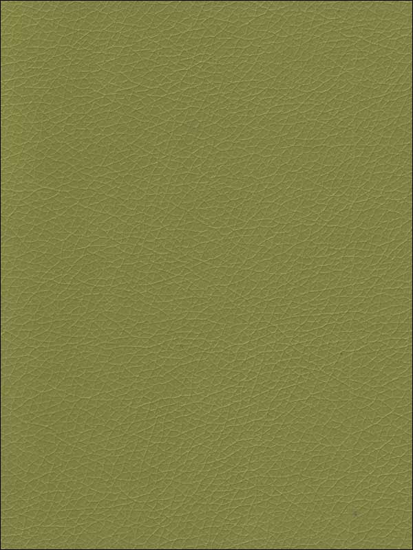 Valera Wasabi Upholstery Fabric VALERA23 by Kravet Fabrics for sale at Wallpapers To Go