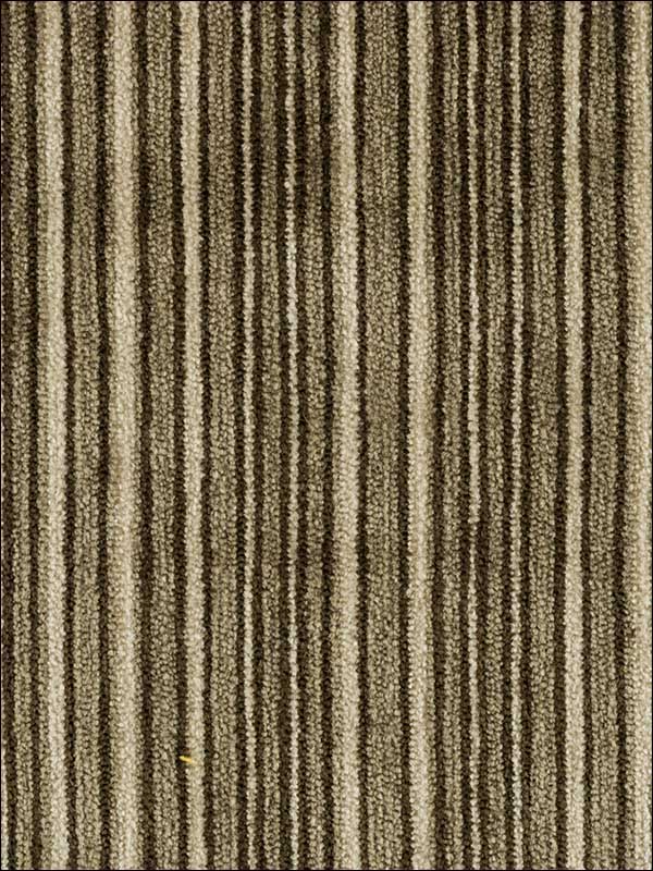 Forli Biscotti Upholstery Fabric 336571611 by Kravet Fabrics for sale at Wallpapers To Go
