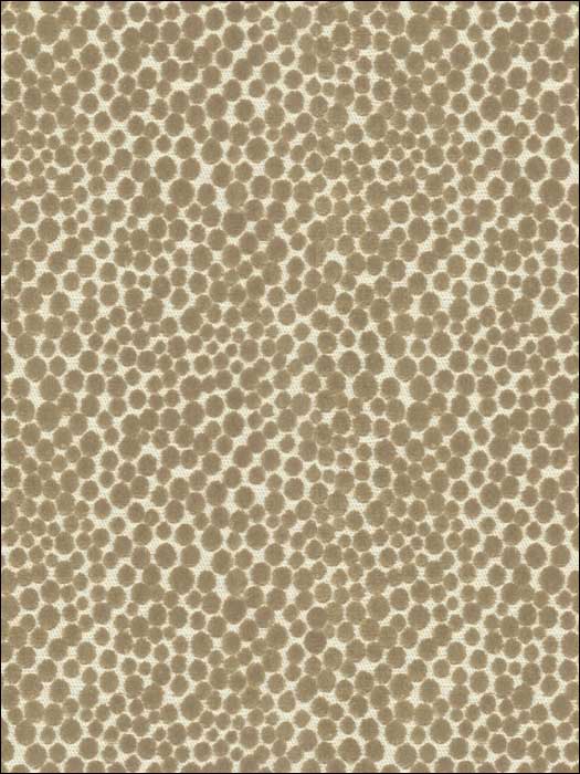 Polka Dot Plush Mushroom Upholstery Fabric 32972116 by Kravet Fabrics for sale at Wallpapers To Go