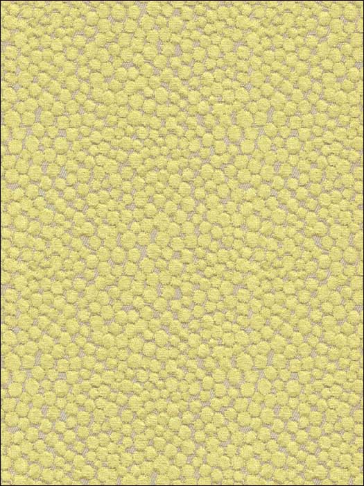 Polka Dot Plush Wasabi Upholstery Fabric 32972323 by Kravet Fabrics for sale at Wallpapers To Go