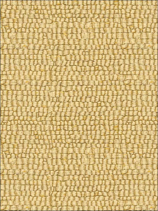New Destination Champagne Upholstery Fabric 3312416 by Kravet Fabrics for sale at Wallpapers To Go