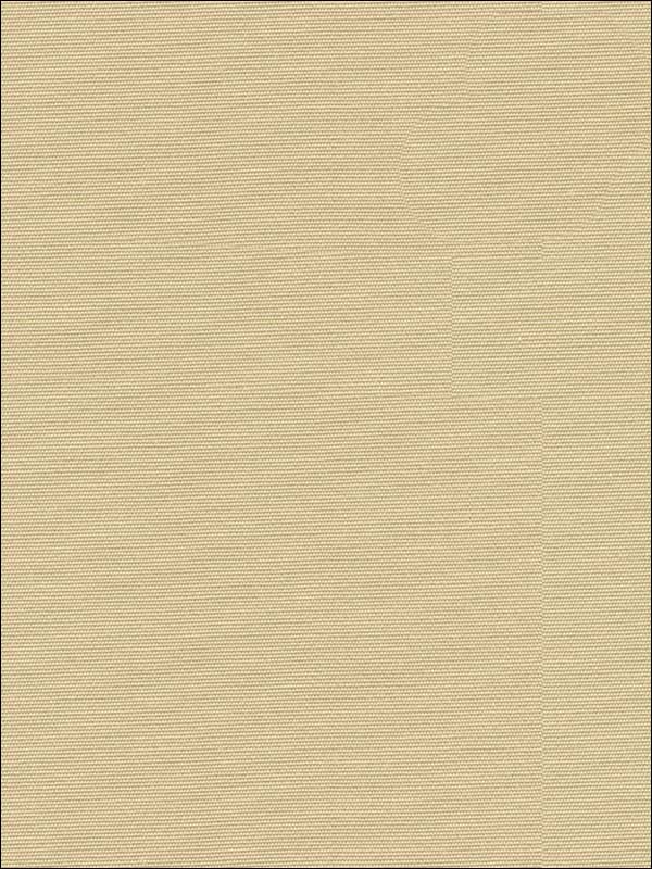 Classic Canvas 1116 Multipurpose Fabric 297411116 by Kravet Fabrics for sale at Wallpapers To Go