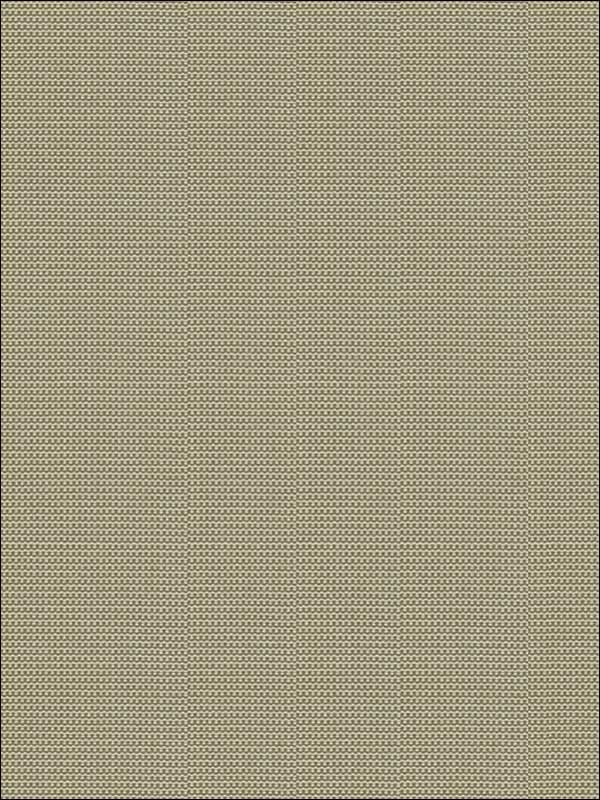 Dazzled 11 Upholstery Fabric 3339611 by Kravet Fabrics for sale at Wallpapers To Go