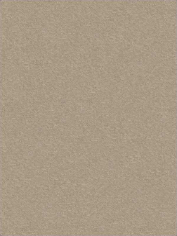 Cara 1601 Upholstery Fabric CARA1601 by Kravet Fabrics for sale at Wallpapers To Go