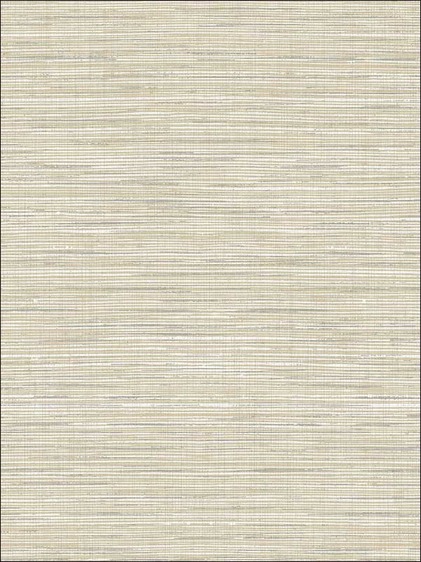 Natural Texture Wallpaper JC20310 by Wallquest Wallpaper for sale at Wallpapers To Go
