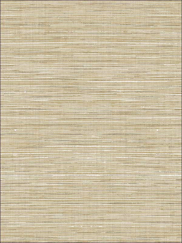Natural Texture Wallpaper JC20317 by Wallquest Wallpaper for sale at Wallpapers To Go