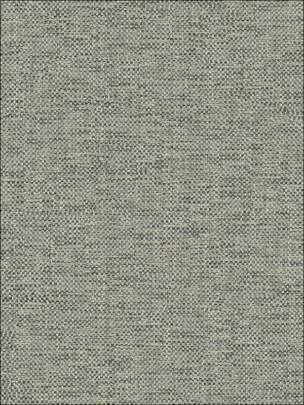 Grass Textile Wallpaper JC20806 by Wallquest Wallpaper for sale at Wallpapers To Go