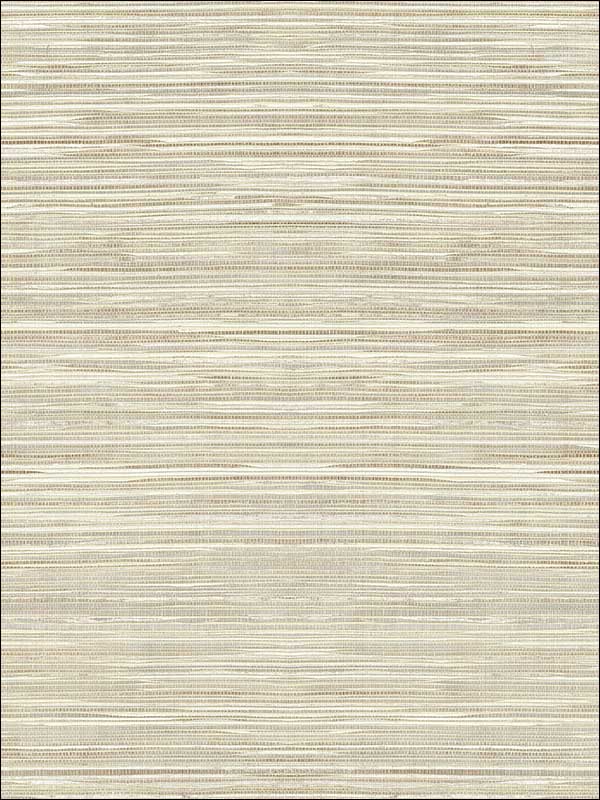 Grasscloth 2 Wallpaper JC21005 by Wallquest Wallpaper for sale at Wallpapers To Go