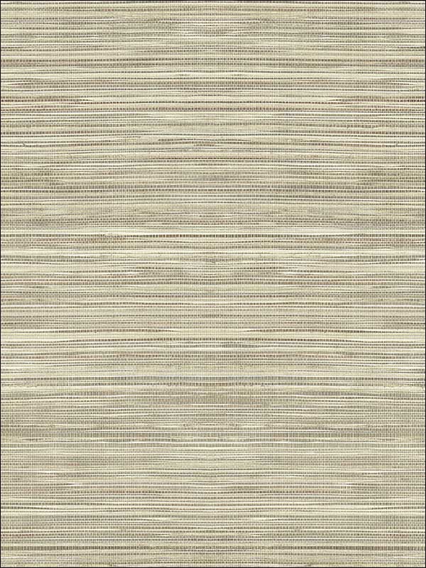 Grasscloth 2 Wallpaper JC21015 by Wallquest Wallpaper for sale at Wallpapers To Go