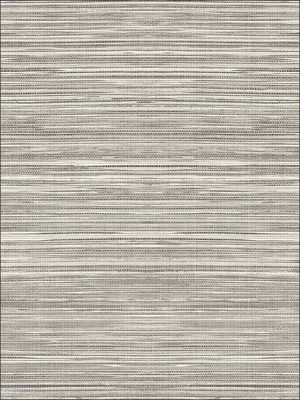 Grasscloth 2 Wallpaper JC21020 by Wallquest Wallpaper for sale at Wallpapers To Go