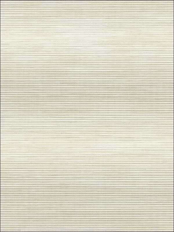 Grasscloth Wallpaper JC21308 by Wallquest Wallpaper for sale at Wallpapers To Go