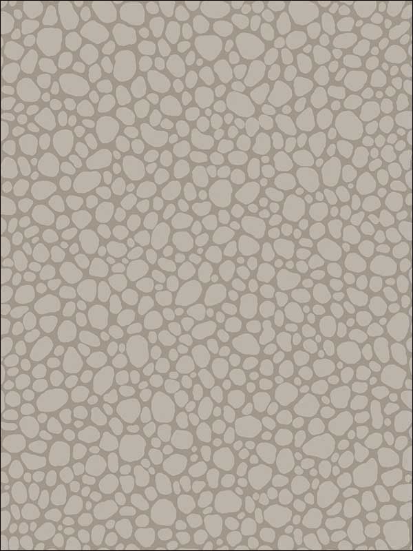 Pebble Mushroom Wallpaper 1062016 by Cole and Son Wallpaper for sale at Wallpapers To Go