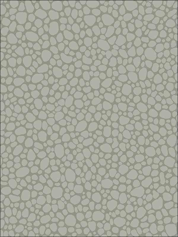 Pebble Grey Wallpaper 1062018 by Cole and Son Wallpaper for sale at Wallpapers To Go