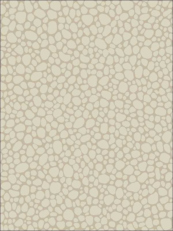 Pebble Parchment Wallpaper 1062022 by Cole and Son Wallpaper for sale at Wallpapers To Go