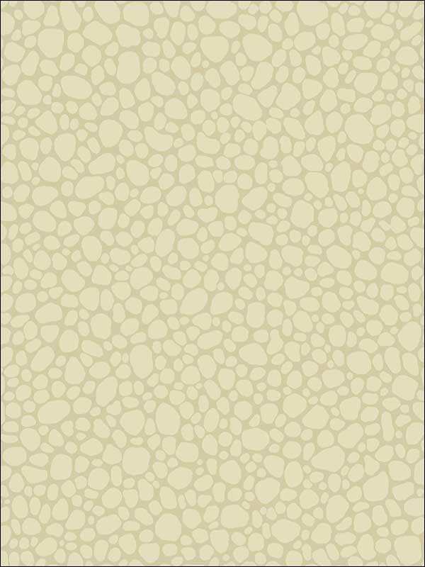 Pebble Cream Wallpaper 1062023 by Cole and Son Wallpaper for sale at Wallpapers To Go