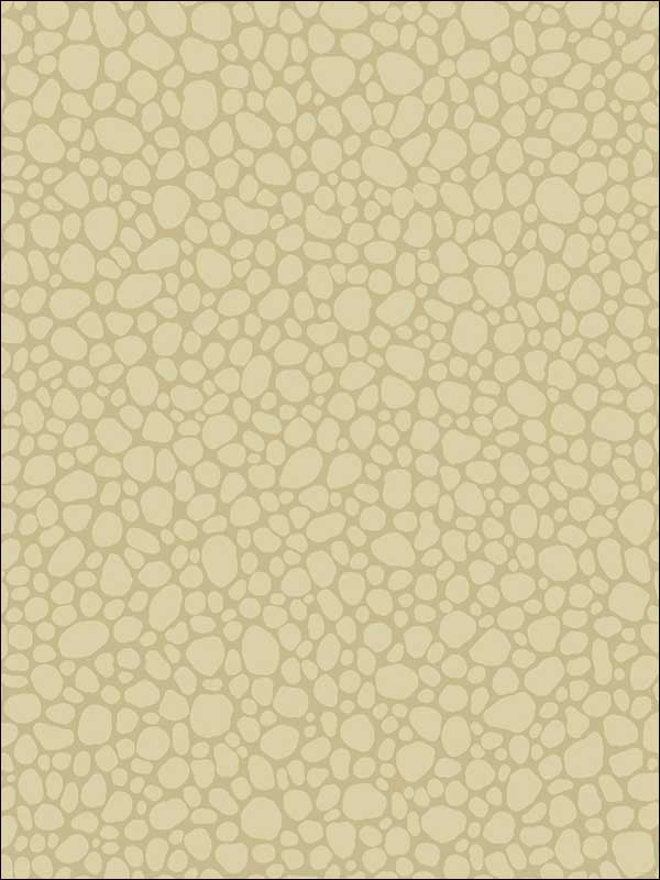 Pebble Latte Wallpaper 1062024 by Cole and Son Wallpaper for sale at Wallpapers To Go