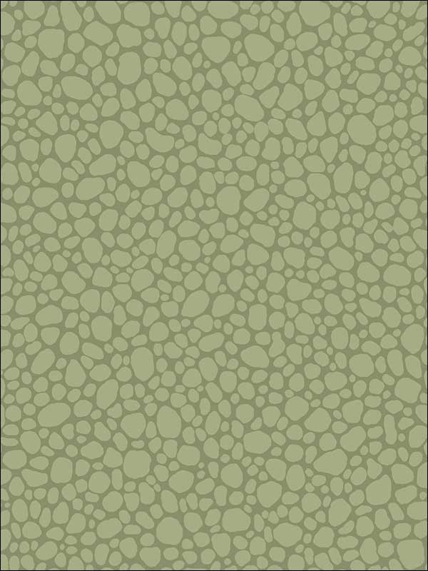 Pebble Dark Olive Wallpaper 1062026 by Cole and Son Wallpaper for sale at Wallpapers To Go