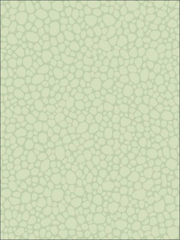 Pebble Duck Egg Wallpaper 1062028 by Cole and Son Wallpaper for sale at Wallpapers To Go