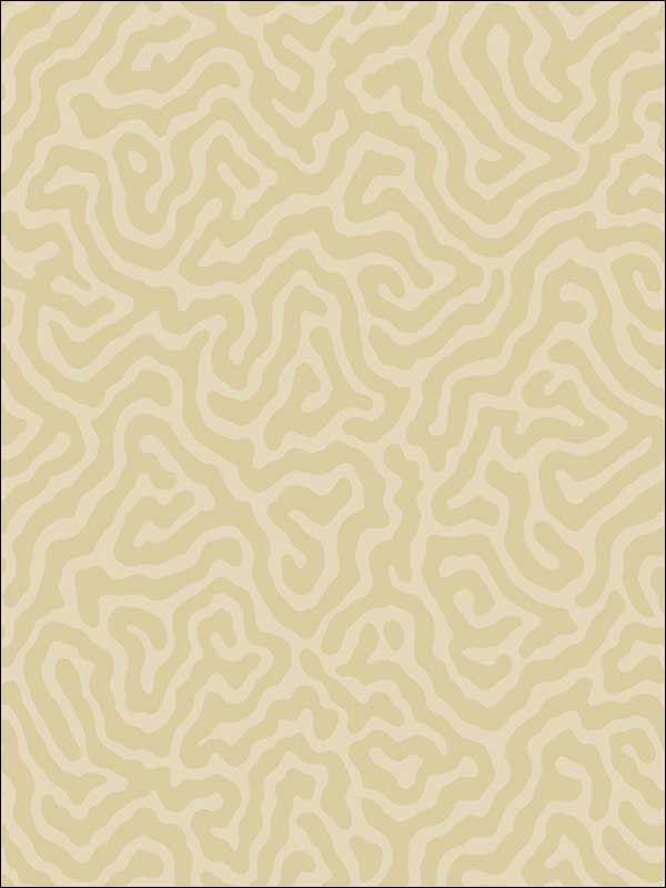 Coral Cream Wallpaper 1065068 by Cole and Son Wallpaper for sale at Wallpapers To Go
