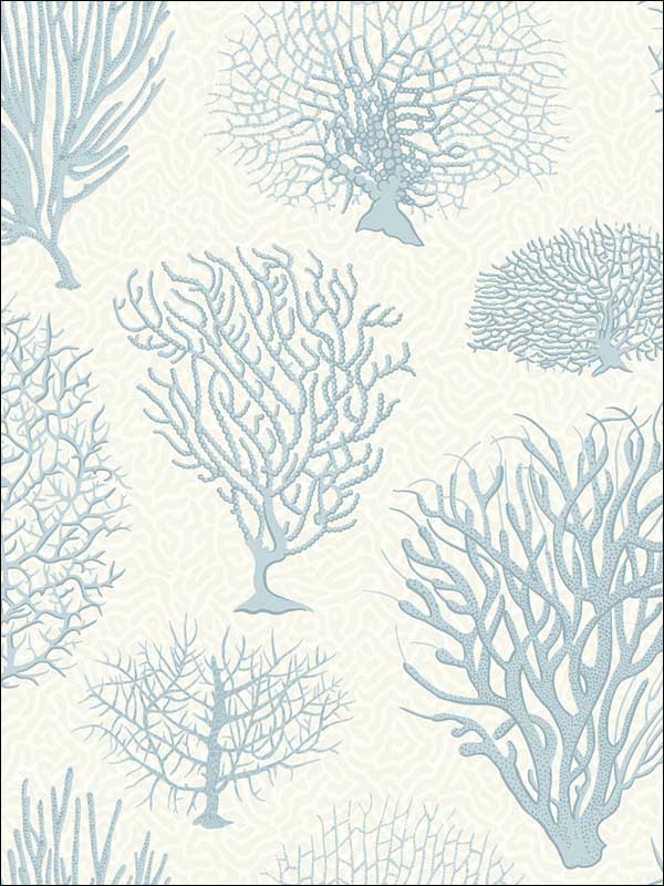 Seafern Blue Wallpaper 1072009 by Cole and Son Wallpaper for sale at Wallpapers To Go