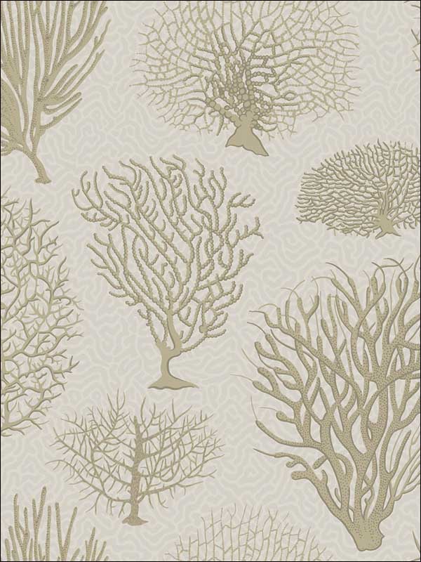 Seafern Stone Wallpaper 1072010 by Cole and Son Wallpaper for sale at Wallpapers To Go