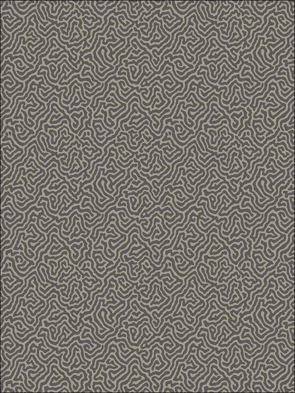 Vermicelli Black and Linen Wallpaper 1074017 by Cole and Son Wallpaper for sale at Wallpapers To Go