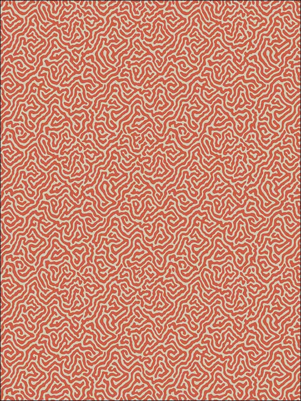 Vermicelli Coral Wallpaper 1074018 by Cole and Son Wallpaper for sale at Wallpapers To Go