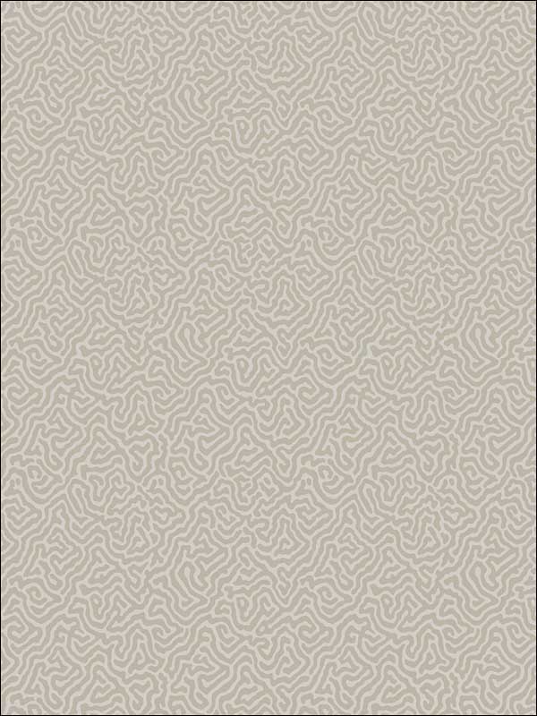 Vermicelli Stone Wallpaper 1074019 by Cole and Son Wallpaper for sale at Wallpapers To Go