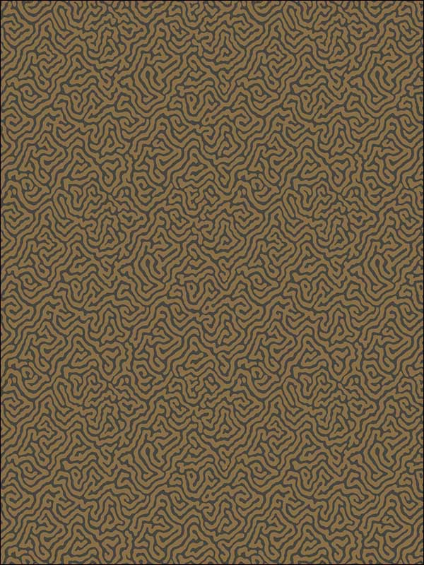 Vermicelli Black and Bronze Wallpaper 1074020 by Cole and Son Wallpaper for sale at Wallpapers To Go