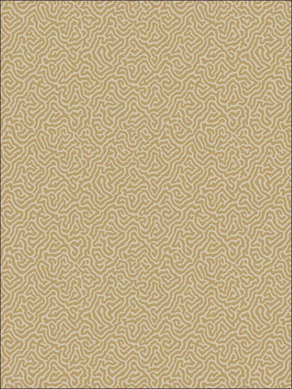 Vermicelli Buff and Gold Wallpaper 1074021 by Cole and Son Wallpaper for sale at Wallpapers To Go