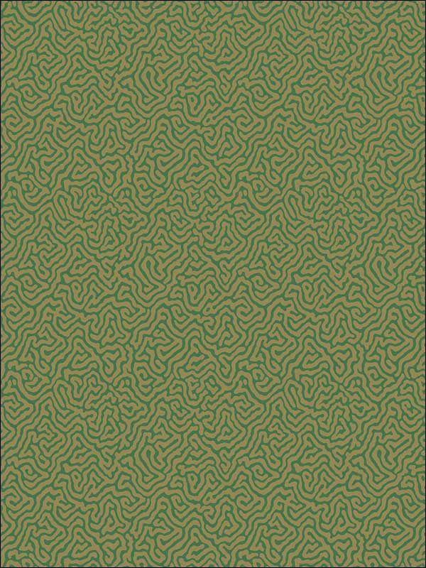Vermicelli Green and Gold Wallpaper 1074022 by Cole and Son Wallpaper for sale at Wallpapers To Go
